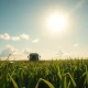 Sugarcane harvester in a Brazilian plantation under a bright sky, representing agricultural commodity production.