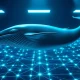 Blue whale swimming above a glowing Sui blockchain network map representing whale accumulation.