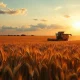 Combine harvester in a wheat field at sunset, representing agricultural commodity markets.