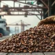 Raw cocoa beans in a burlap sack at a port warehouse