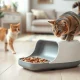 Automatic Petlibro Granary 2 dry food feeder on a wooden floor with a cat eating from its tray